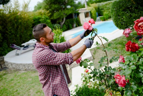 Pressure washing equipment being set up on a residential exterior