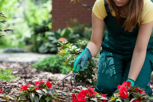 Eco-friendly pressure washing solution being applied to a surface