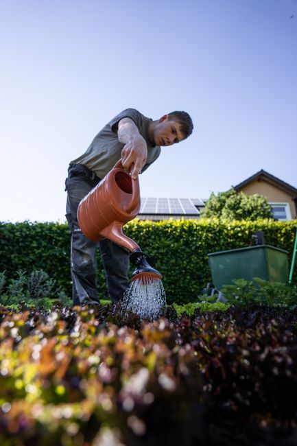 A person is tending to a garden bed outdoors under clear blue skies, watering the plants with a terracotta watering can. The garden features neatly arranged flower borders with vibrant, leafy foliage 