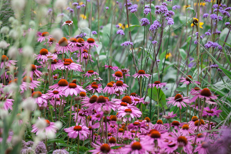 garden landscaping garden design