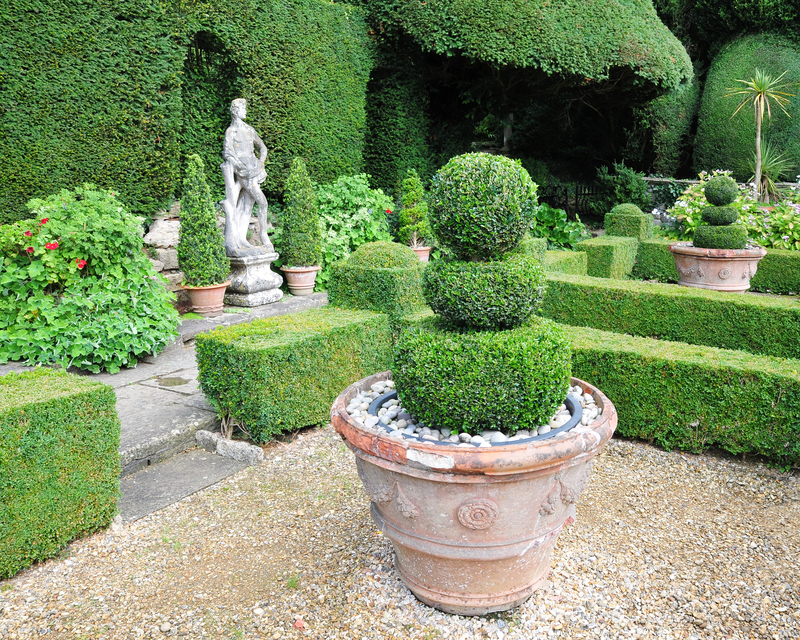 Garden outdoor space