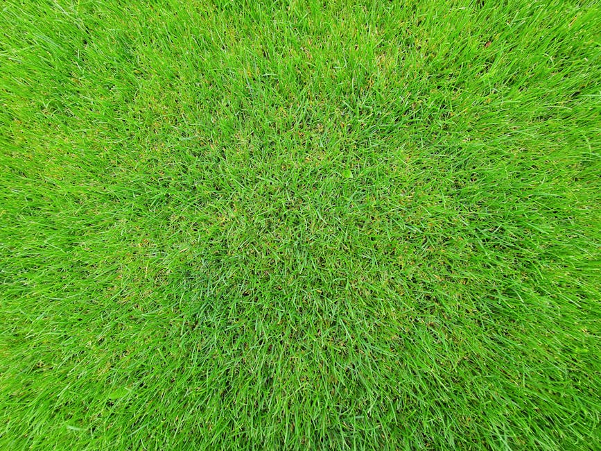 Close-up aerial view of a lush green lawn with densely packed, freshly cut grass blades showing fine textures. The grass displays varying shades of green, creating a natural pattern across the lawn. T